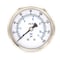 Pic Gauges 2 1/2 in Dial, 1/4 in NPT Male Center Back Location, Stainless Steel Case Material PRO-302D-254F-01 - alternate 1
